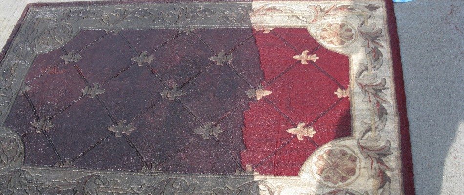 oriental rug cleaning in progress