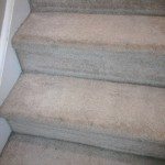 carpeted stairs after being cleaned